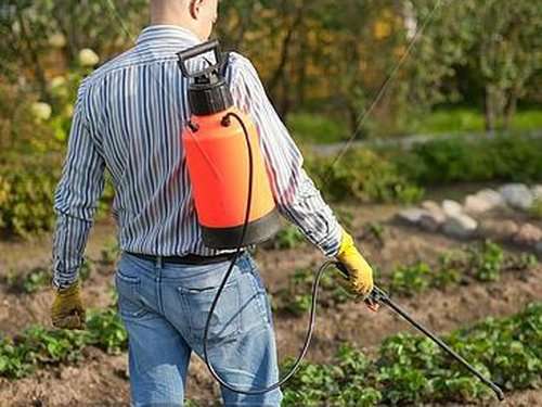 Хімічна обробка саду і газону