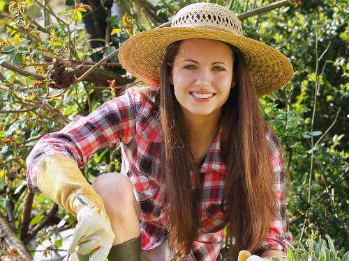 Консультації фахівця дендролога