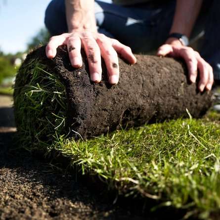 Рулонний газон під ключ