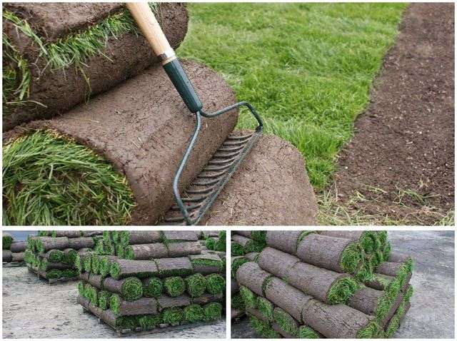 рулони, готові до укладання