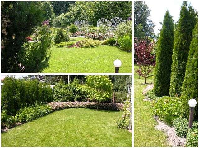 Посадити туї та кущі