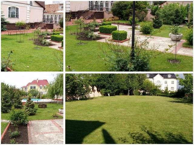 Утилітарний дизайн озеленення 20 соток